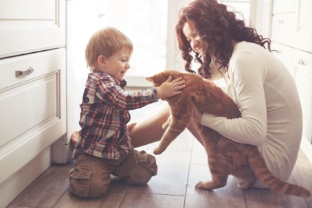 Cat and boy and mom